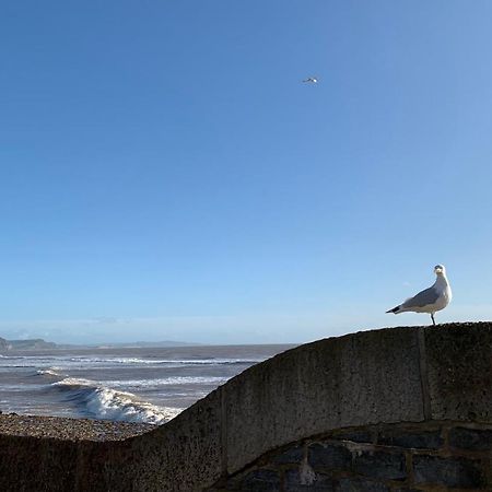 Bed and Breakfast Nettle Bank Lyme Regis Esterno foto