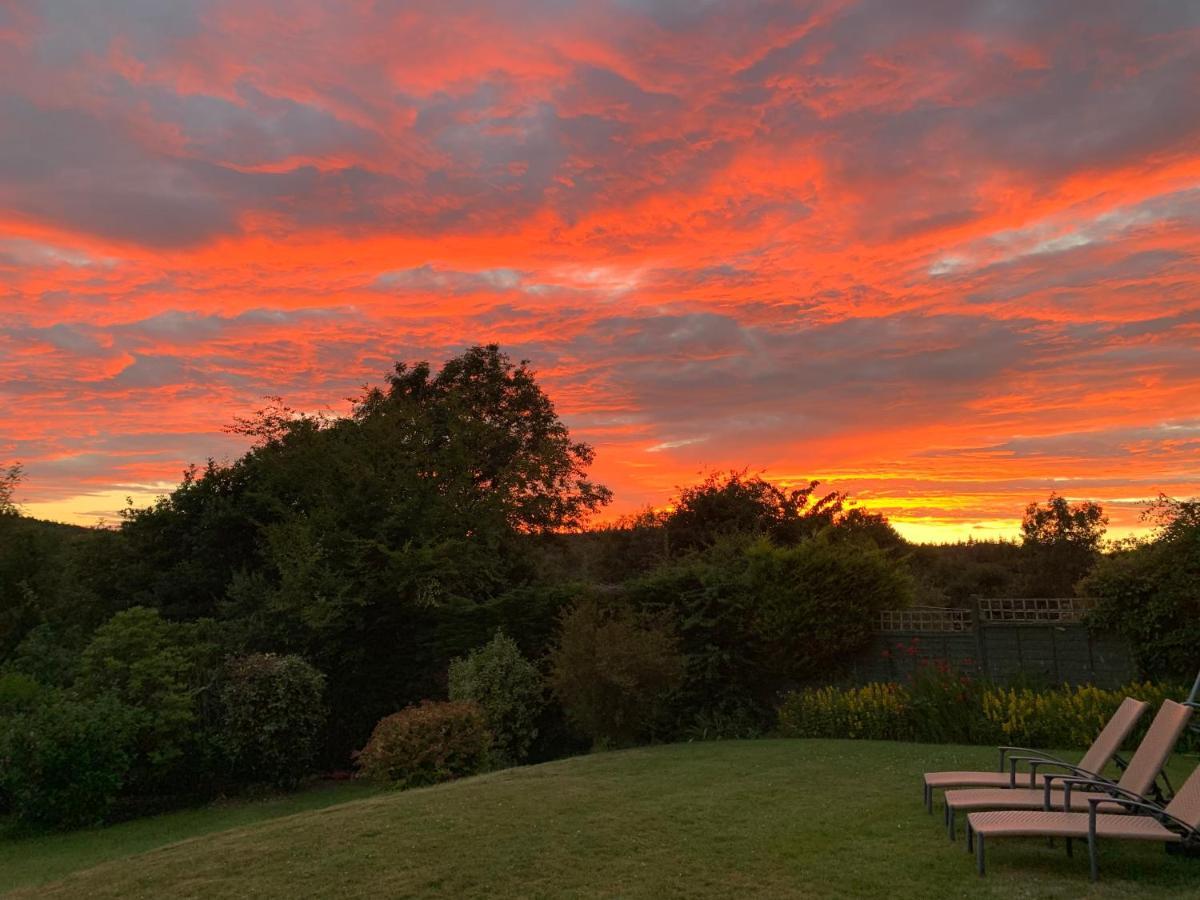 Bed and Breakfast Nettle Bank Lyme Regis Esterno foto