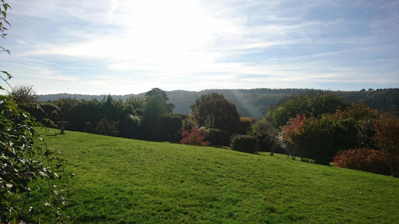 Bed and Breakfast Nettle Bank Lyme Regis Esterno foto