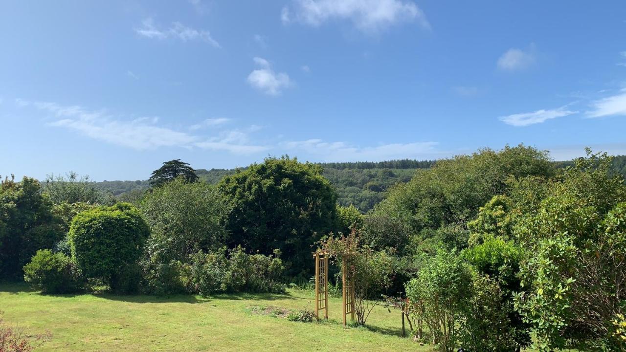 Bed and Breakfast Nettle Bank Lyme Regis Esterno foto