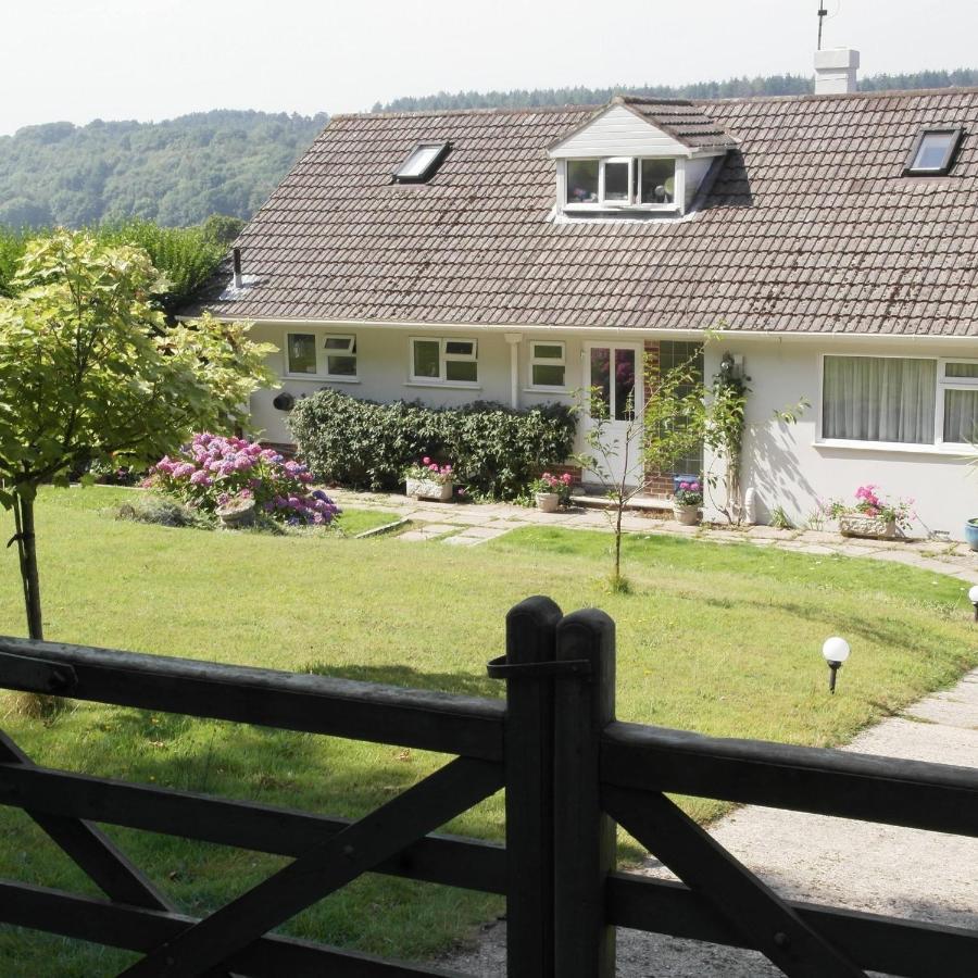 Bed and Breakfast Nettle Bank Lyme Regis Esterno foto
