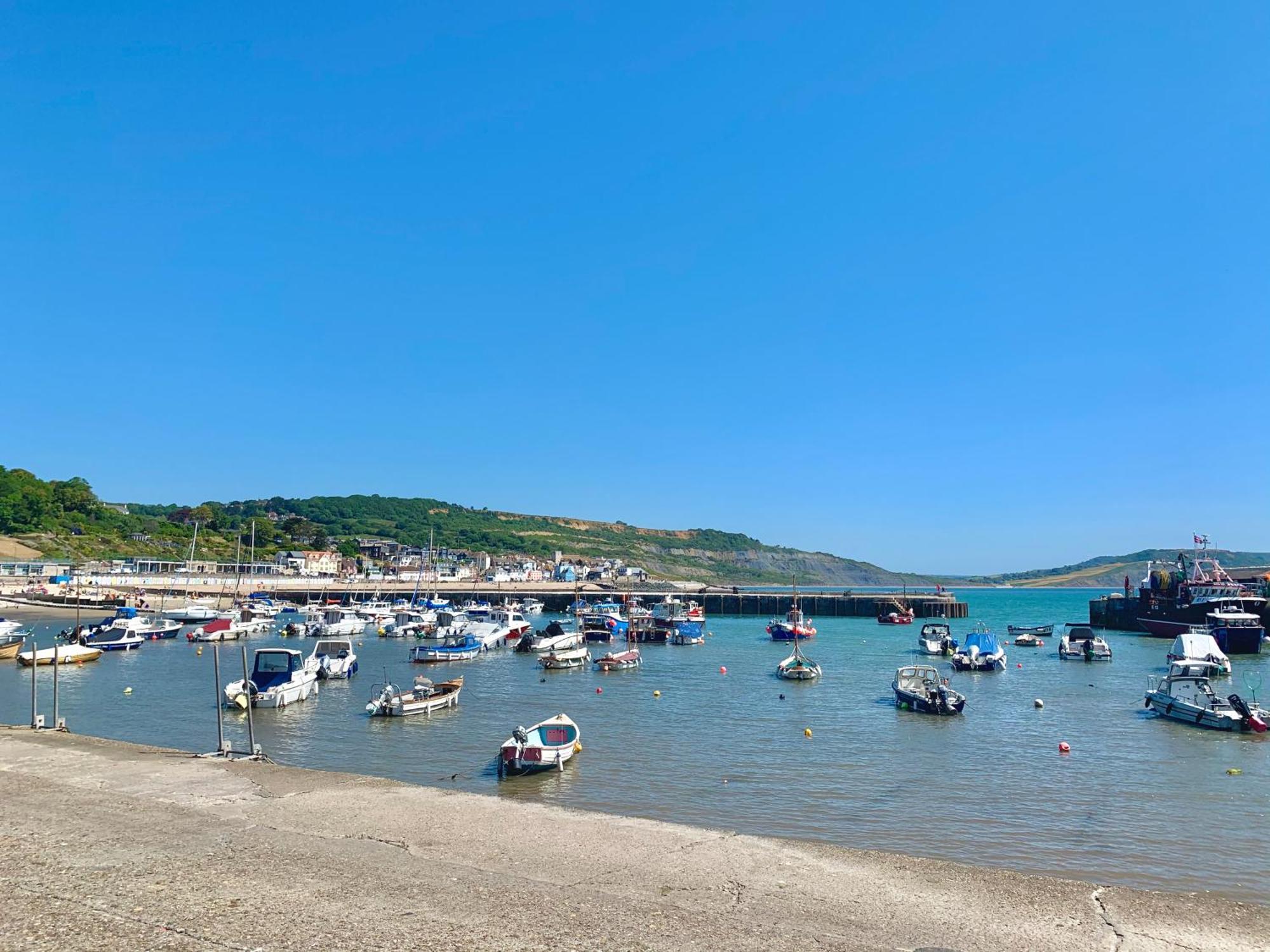 Bed and Breakfast Nettle Bank Lyme Regis Esterno foto