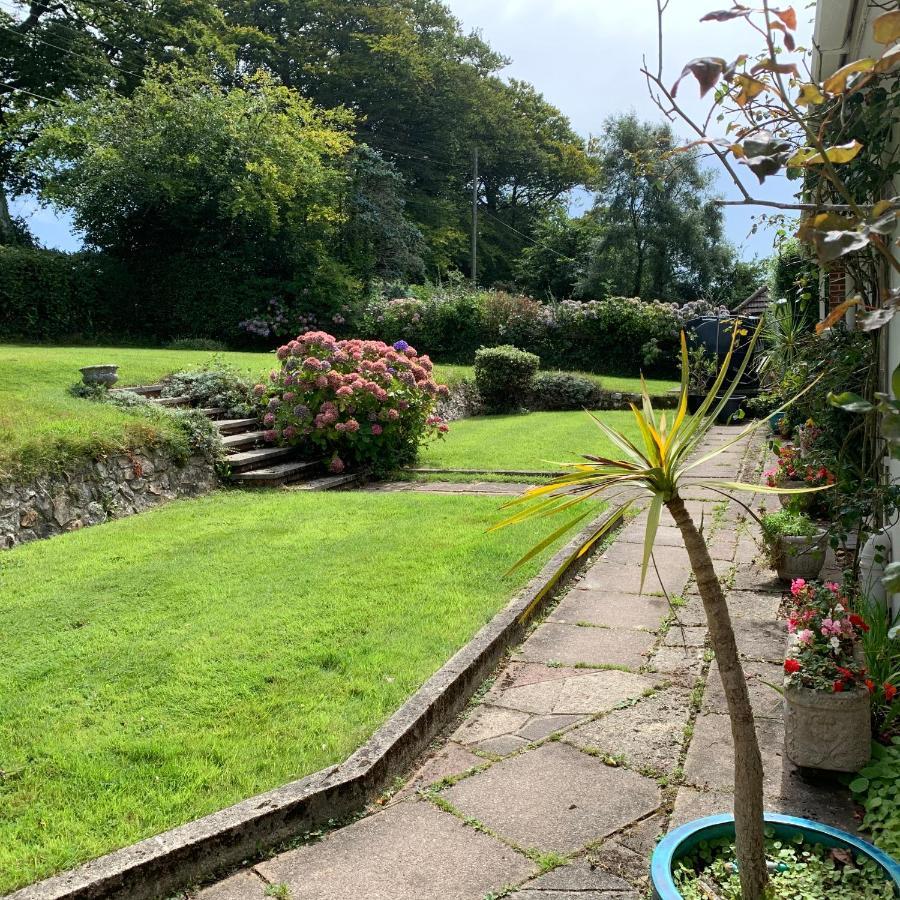 Bed and Breakfast Nettle Bank Lyme Regis Esterno foto